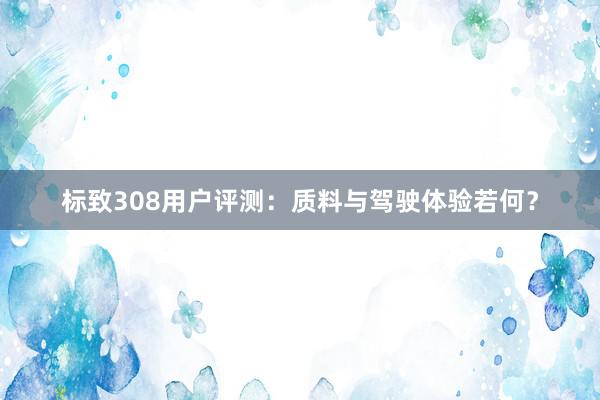 标致308用户评测：质料与驾驶体验若何？