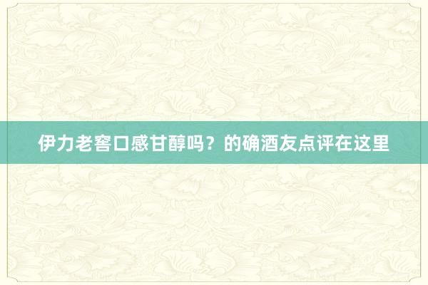 伊力老窖口感甘醇吗？的确酒友点评在这里